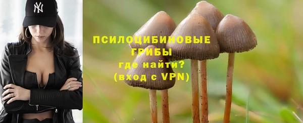 мескалин Богданович