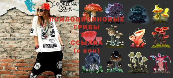 MDMA Богородицк