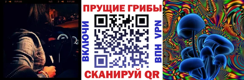 Псилоцибиновые грибы прущие грибы наркота Краснознаменск